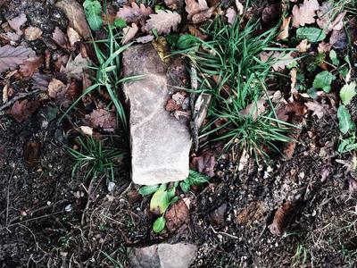 时间线索